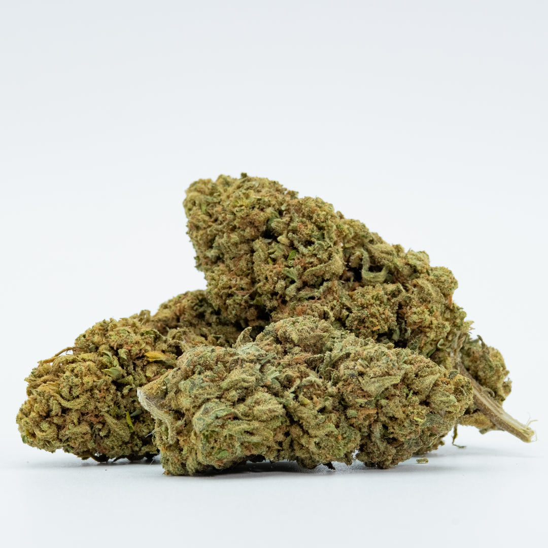 Gorilla Glue