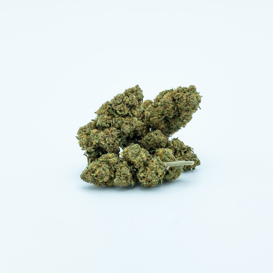 Orange Bud