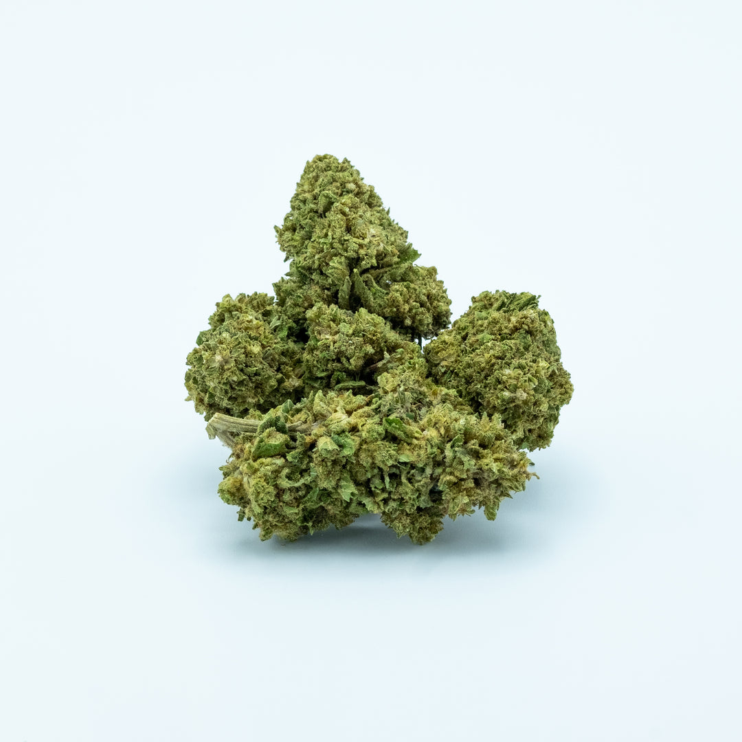 White Widow